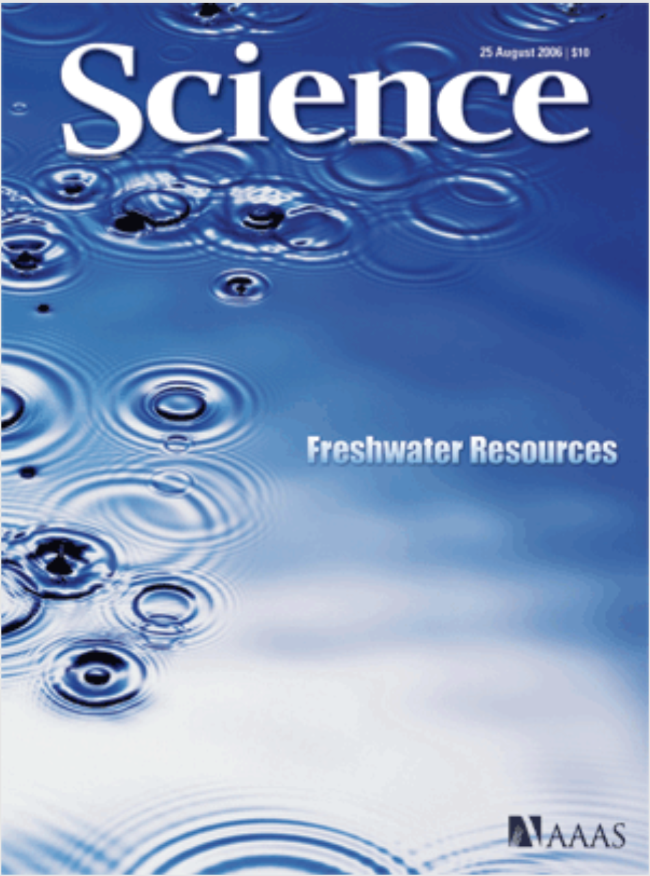 Science 2006 cover